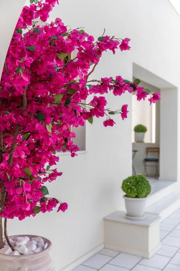 100 Steps - Harmony Apartment Naxos City Exterior photo